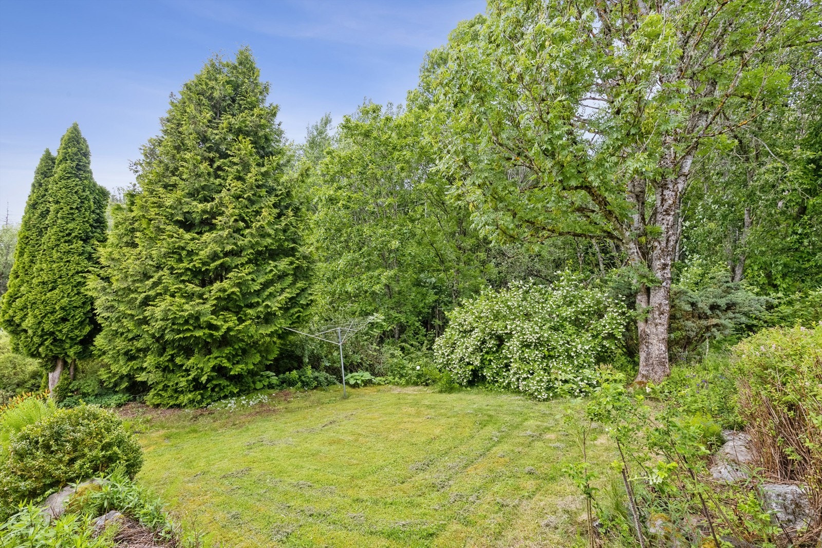Tomtene er store, delvis skrånende og har gressplen, trær og diverse beplantning Galleribilde