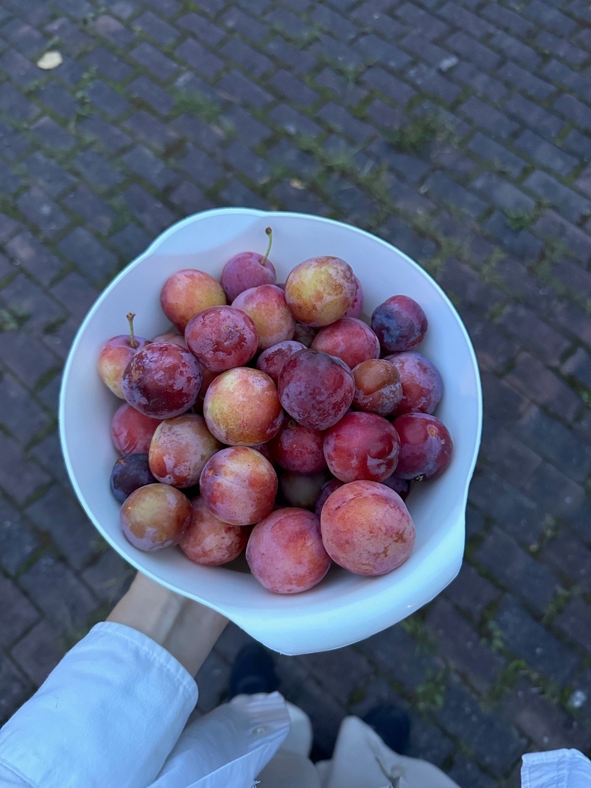 Som beboer kan man forsyne seg av gårdsrommets frukter. Bilde tatt av selger. Galleribilde