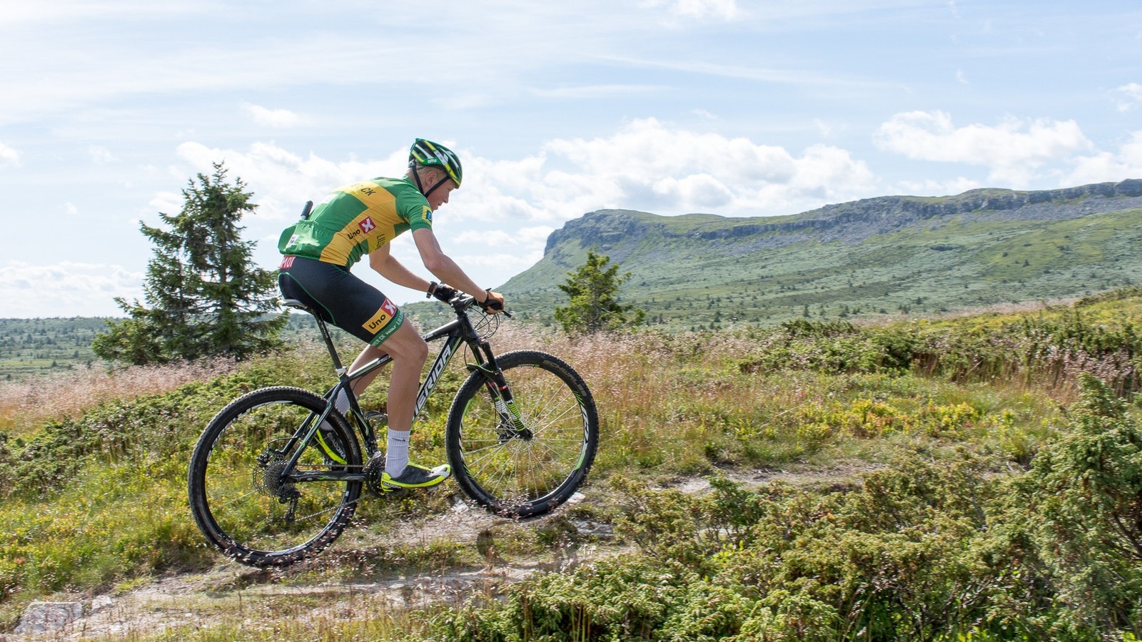 Det er fine sykkelstier i området Galleribilde