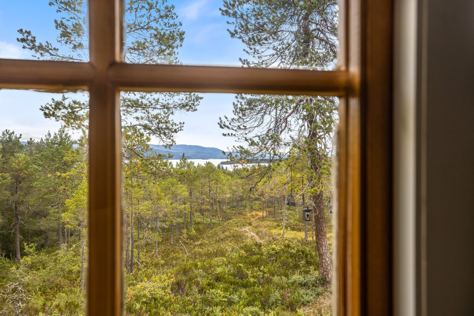 Fin utsikt mot Snåsavatnet Galleribilde