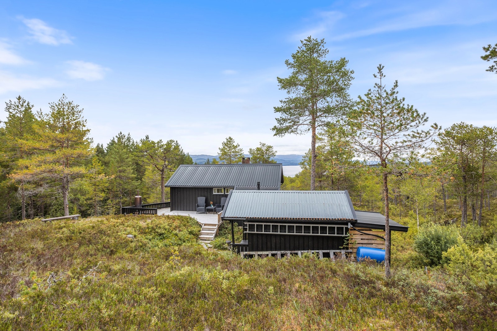 Naturtomt Galleribilde