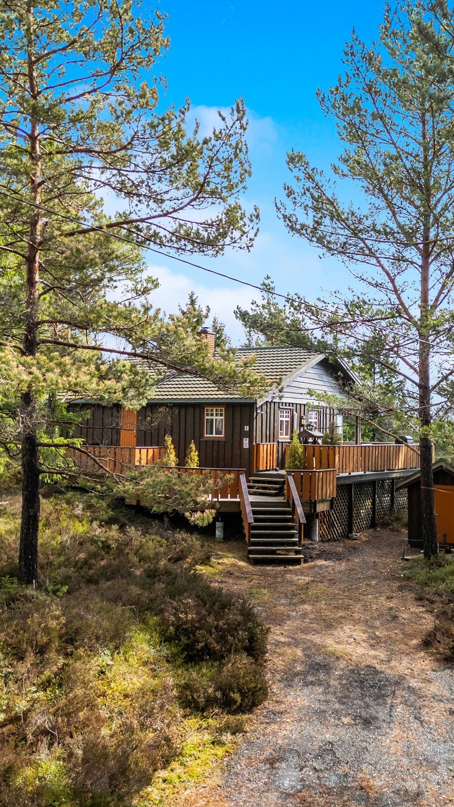 innkjørsel til hytta. Galleribilde
