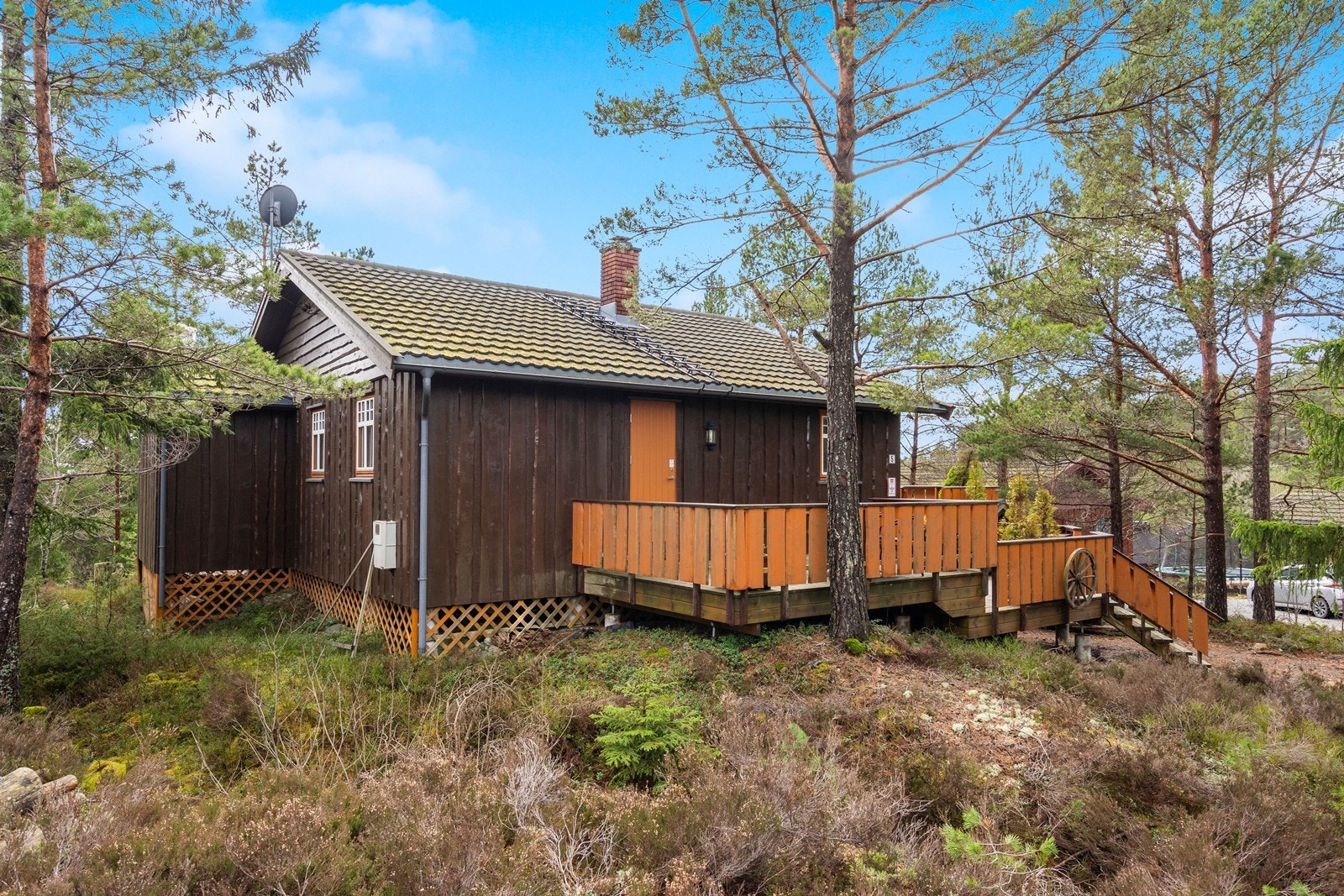 Fasade, mye natur tomt rundt hytta. Galleribilde
