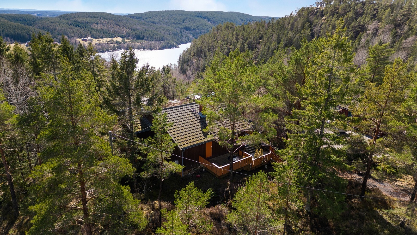 Høydefoto - skogen som nærmeste nabo. Galleribilde