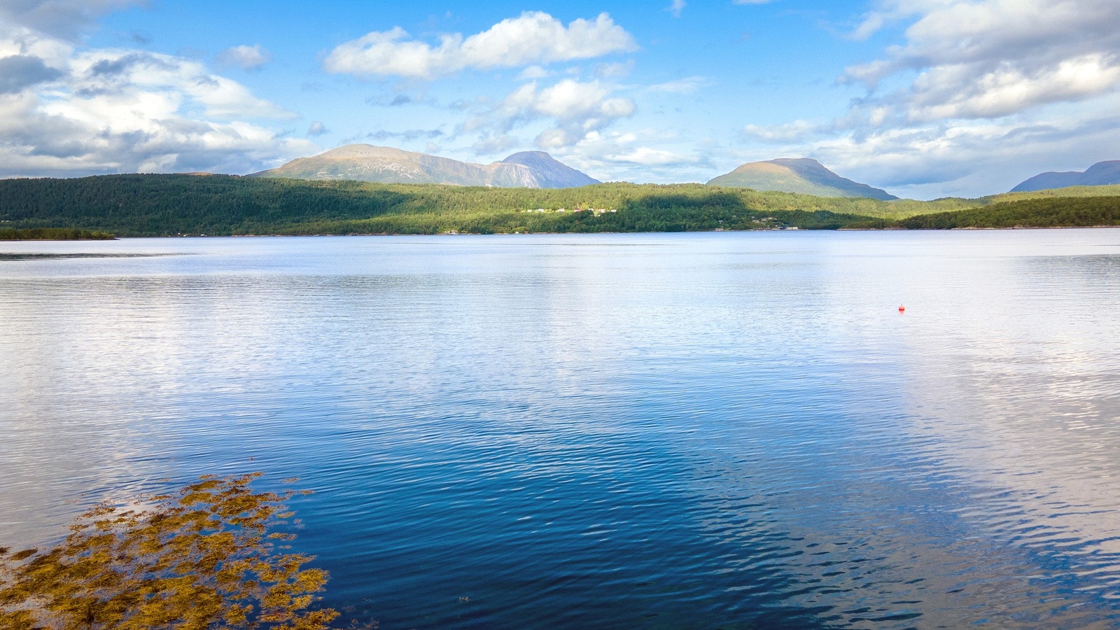 Sjønært og idyllisk. Galleribilde