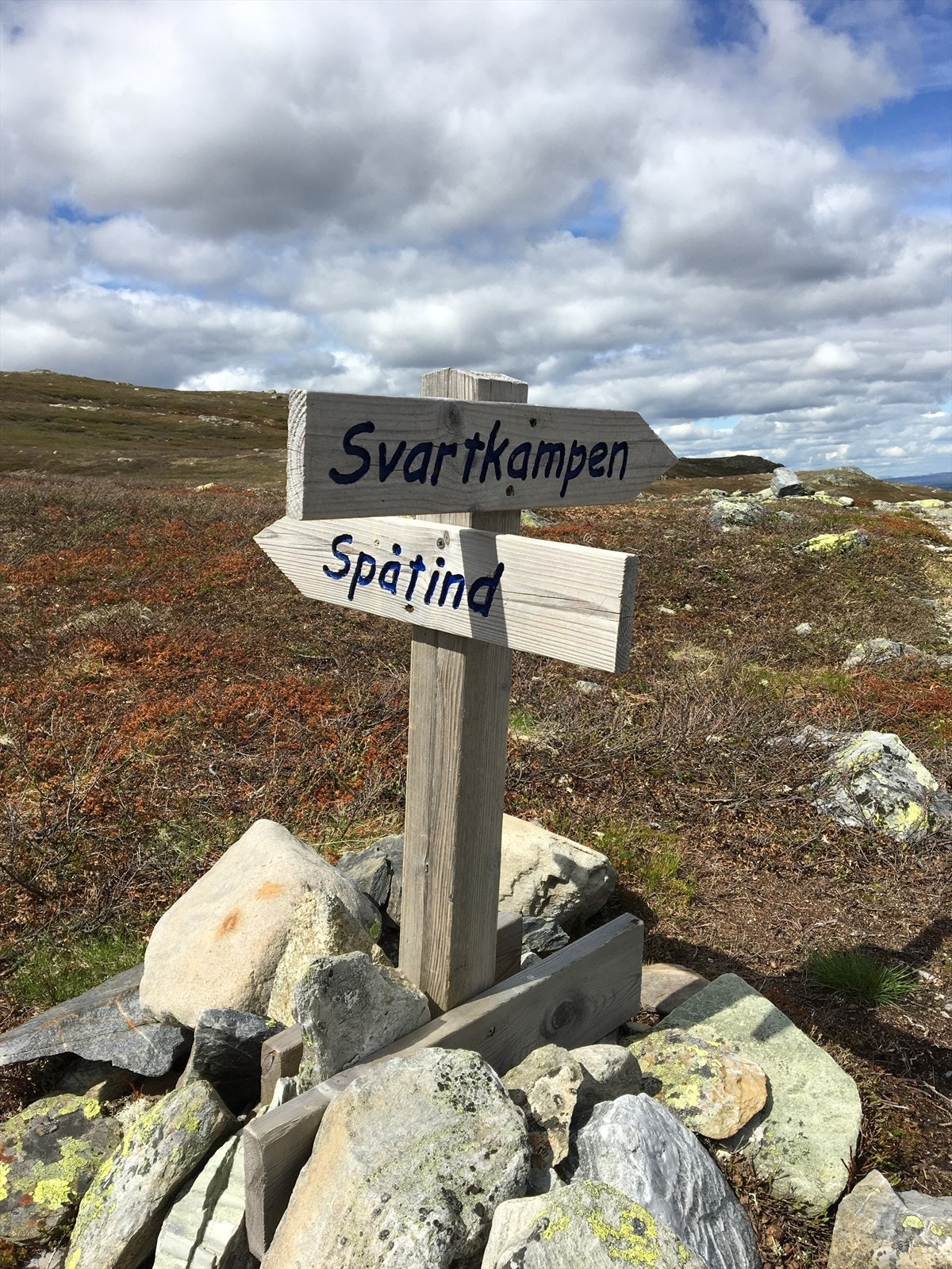 Synnfjellet byr på milevis med merkede turstier Galleribilde