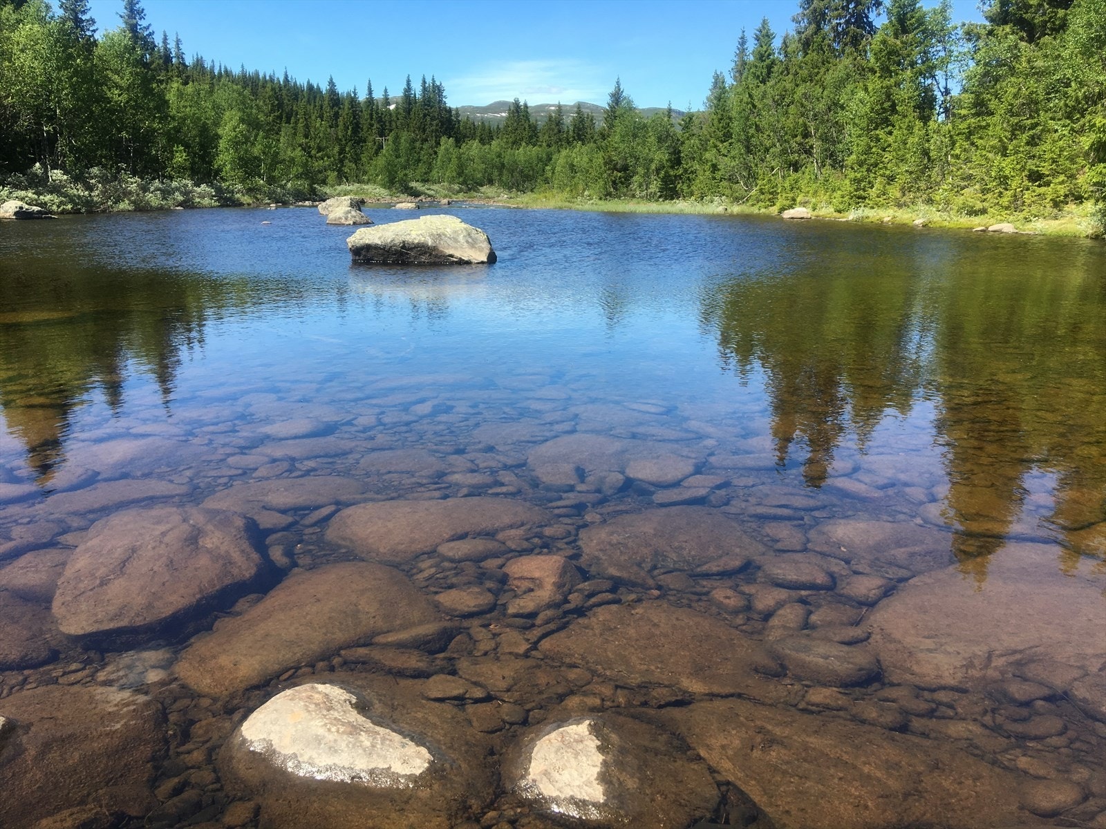 Fra tomtene er det gangavstand til elva Synna Galleribilde