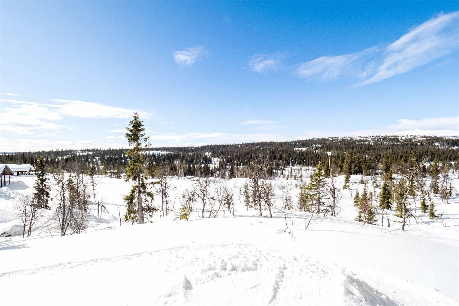 Solrike utsiktstomter Galleribilde