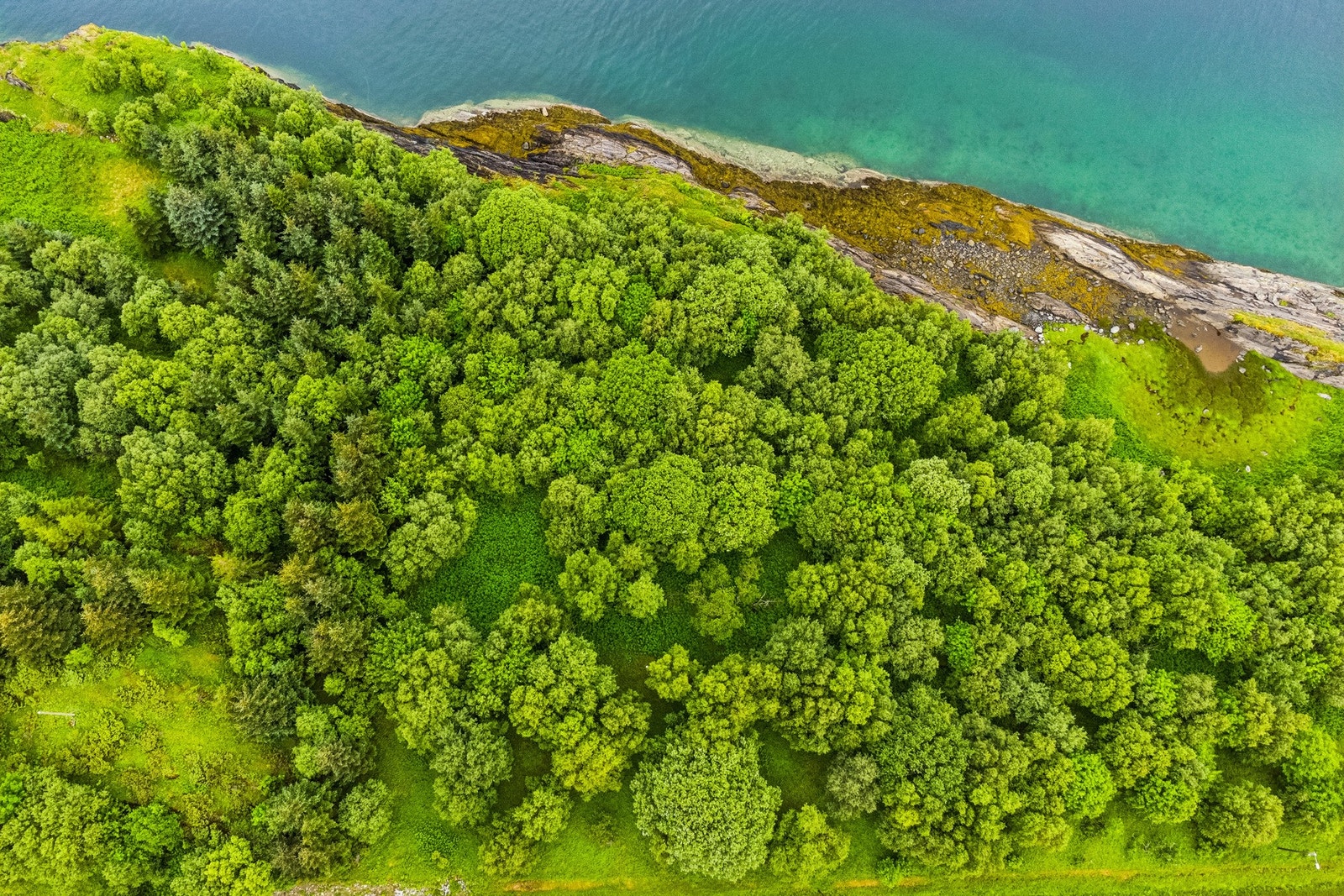 Selve tomten er på ca. 1100 m² og ligger i et relativt flat terreng Galleribilde