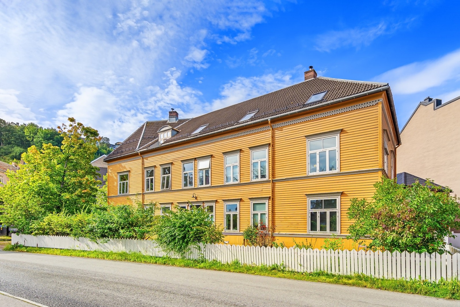 Ila er en av de mest sjarmerende delene av Trondheim. Ilaparken ligger i umiddelbar nærhet. Galleribilde