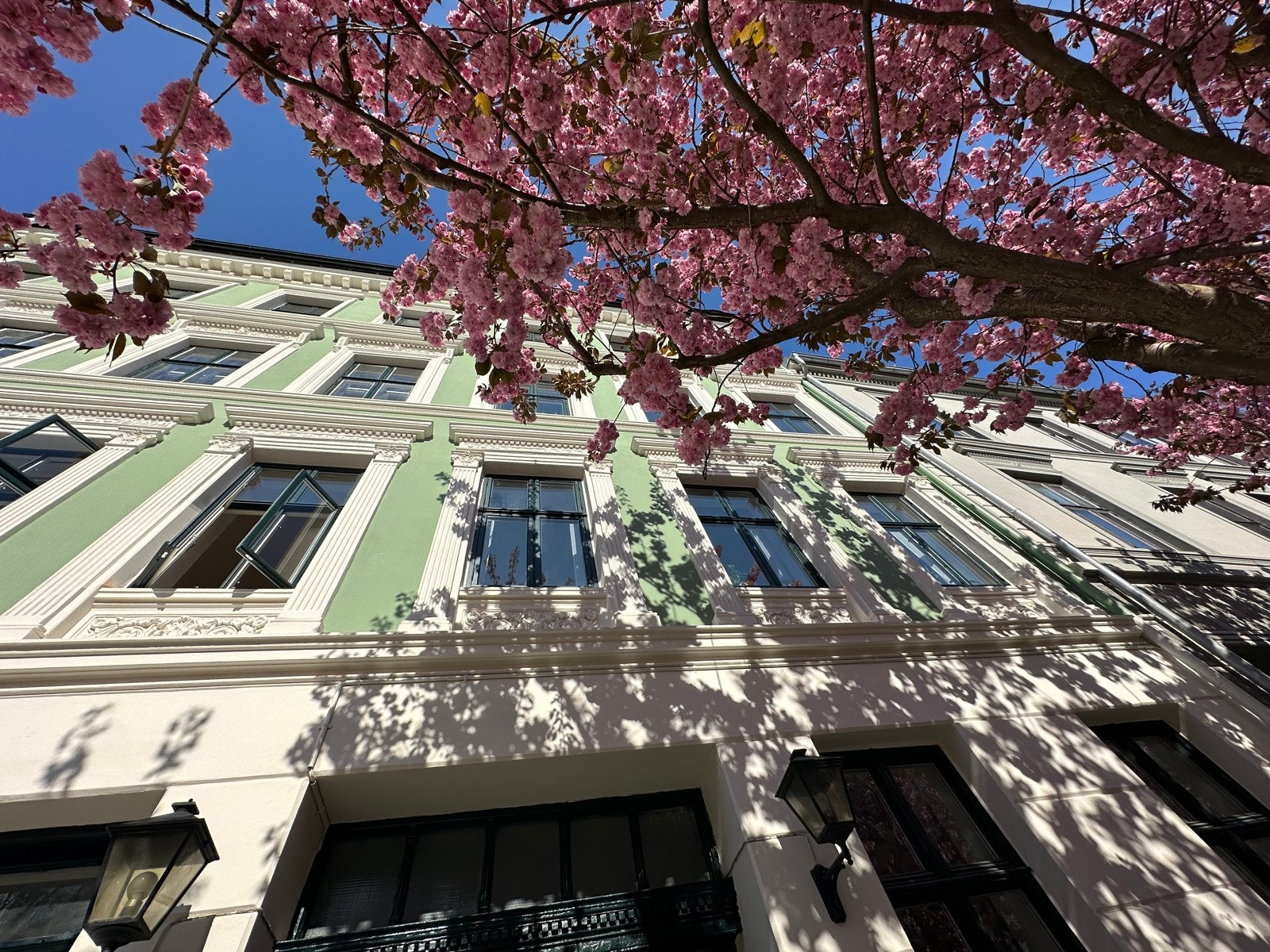 Fasade. Galleribilde