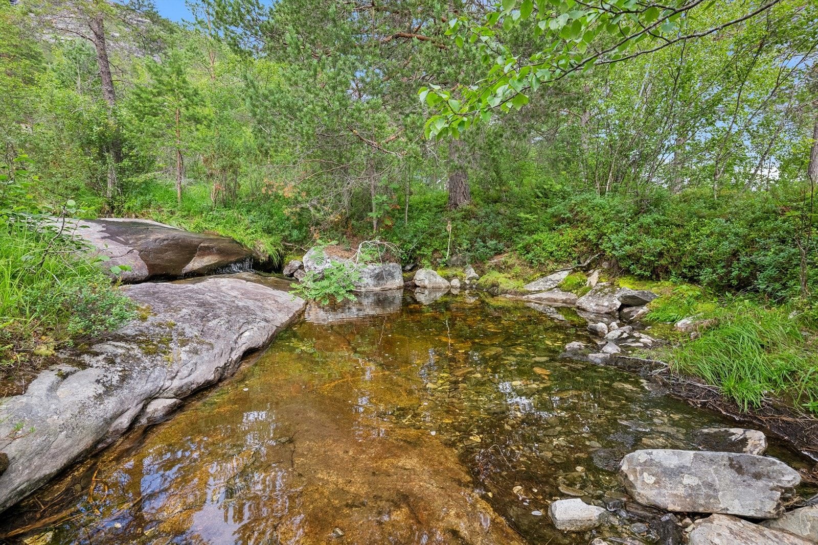 Kulp like nedenfor hytta Galleribilde