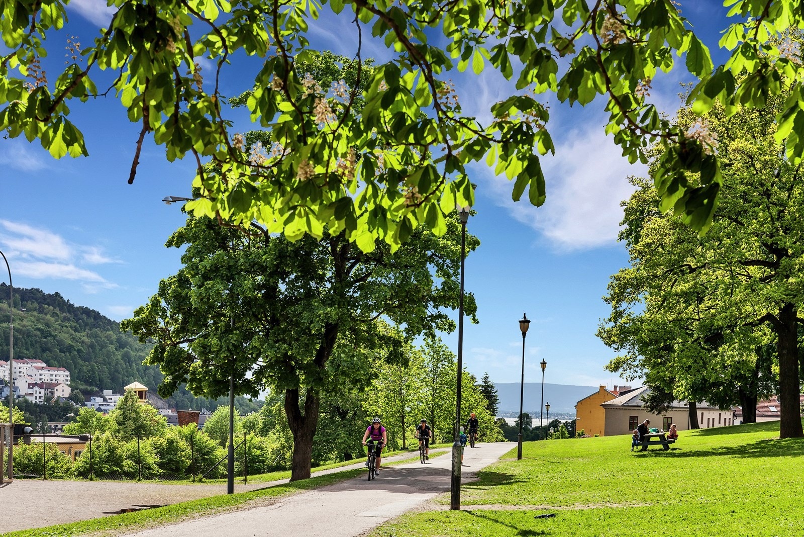 Området har også nærhet til Vålerenga med trehusbebyggelse Galleribilde