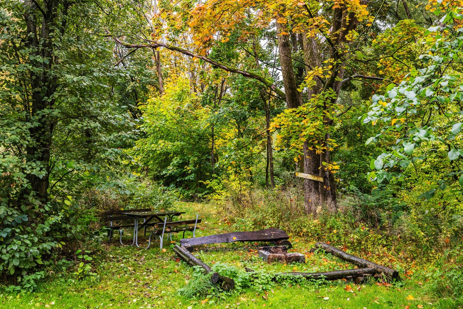 Felles uteområde. Galleribilde