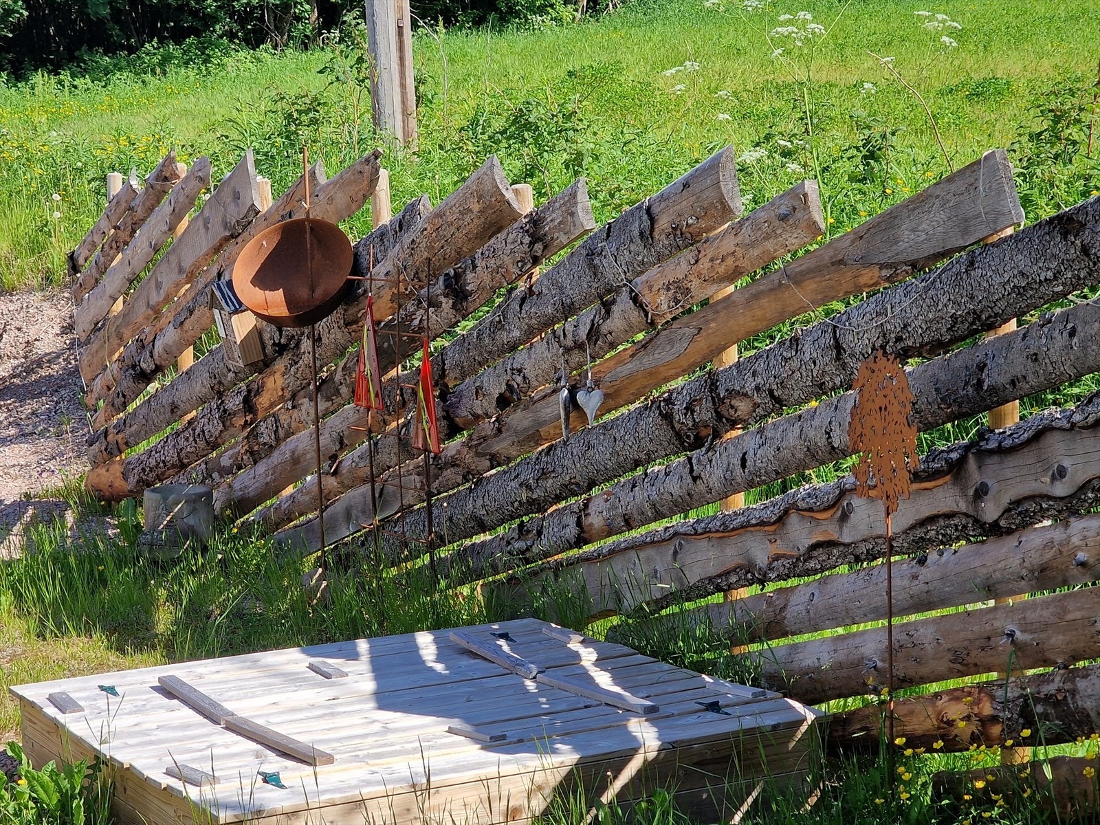 20230625_101547.jpg Galleribilde