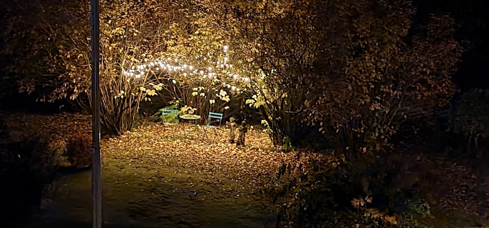 20221004_213337.jpg Galleribilde