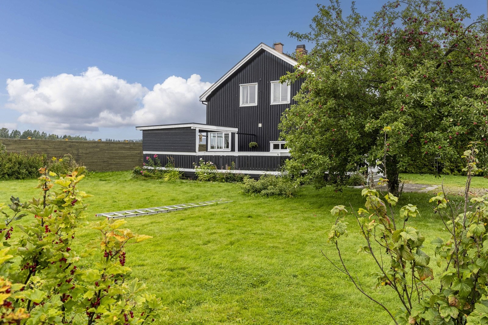 Hagen er pent beplantet med flere bærbusker, et stort epletre, blomster og har god plass til flere aktiviteter. Galleribilde