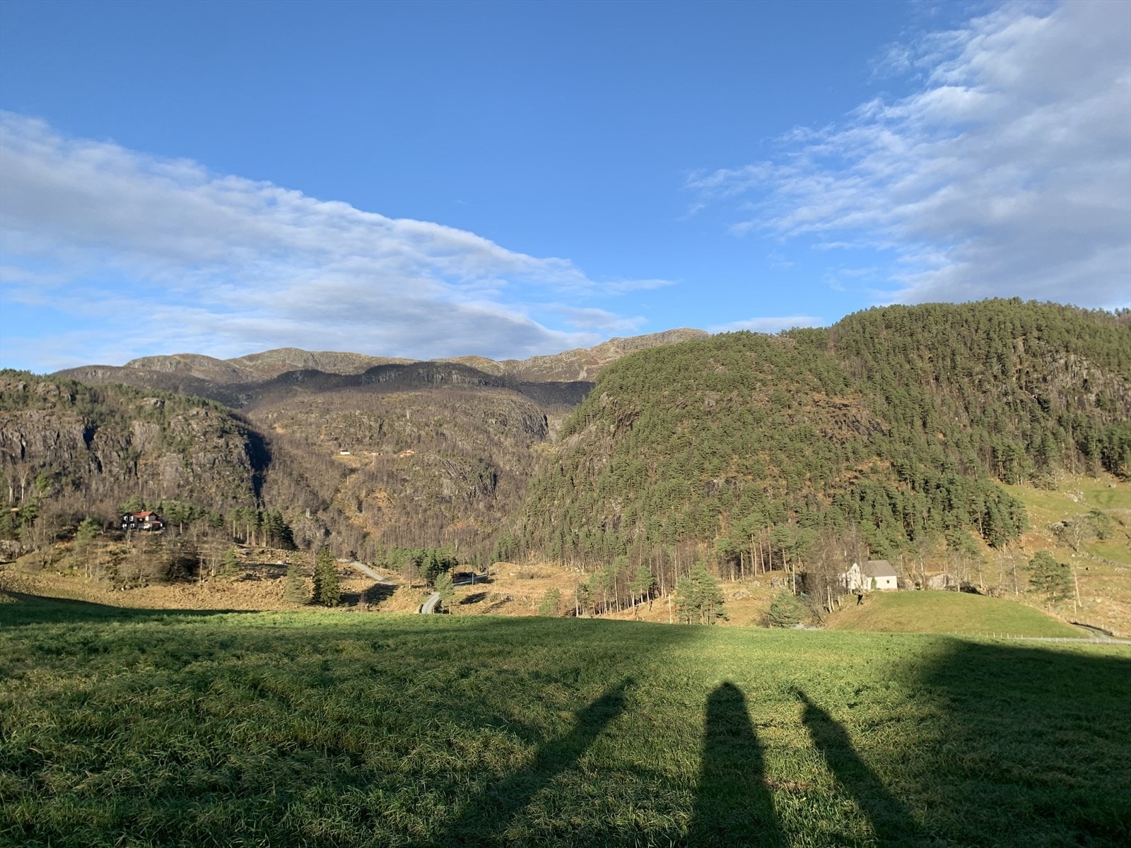 01Fasade_8.jpg Galleribilde