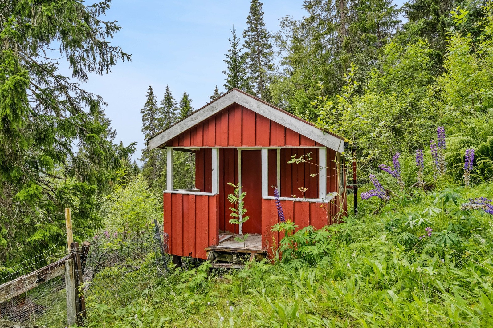 Dokkestue nedenfor hytten Galleribilde