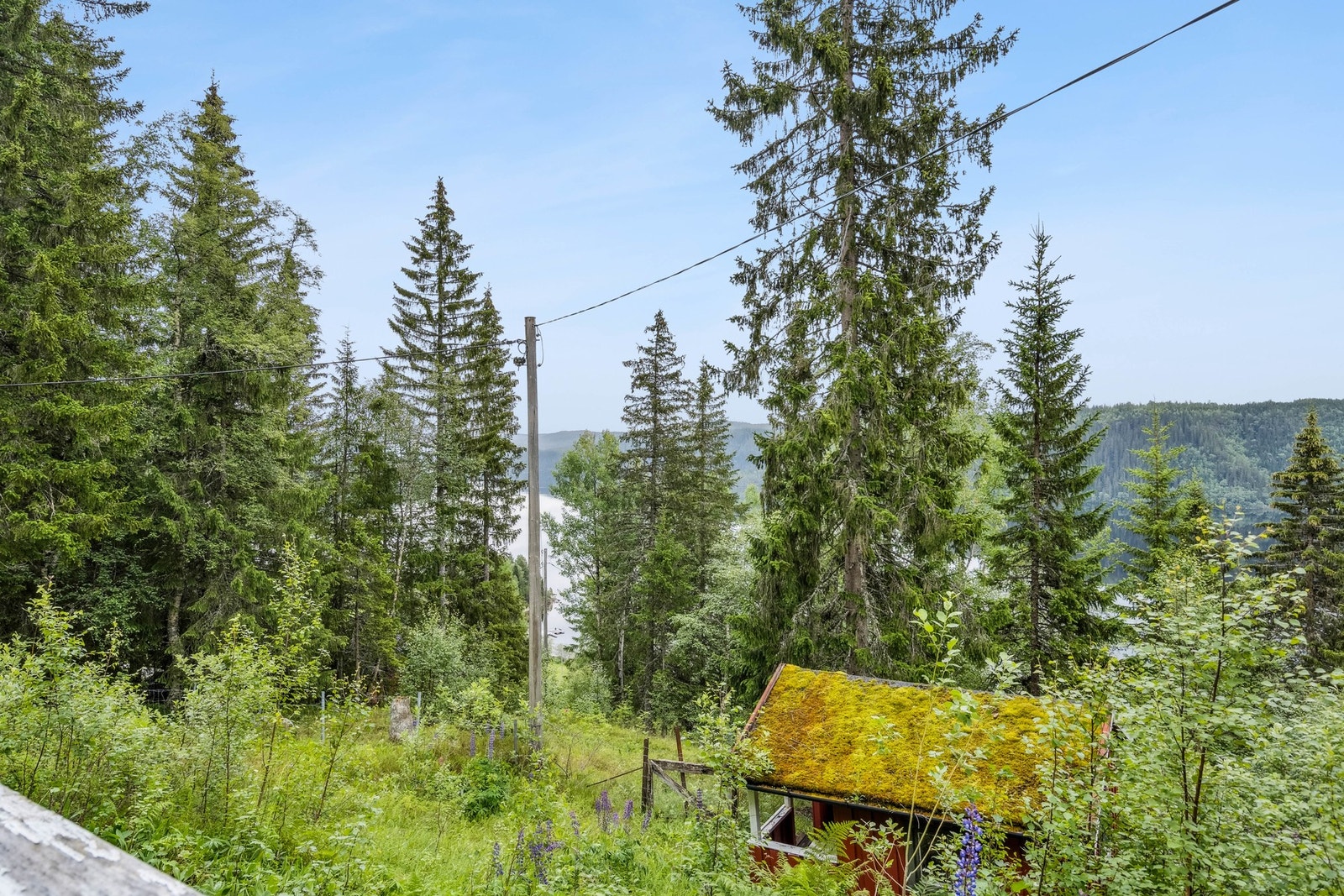 Området rundt eiendommen har vokst igjen betraktelig de siste årene. En må høre med grunneier vedr. felling av trær for å forbedre utsikten Galleribilde