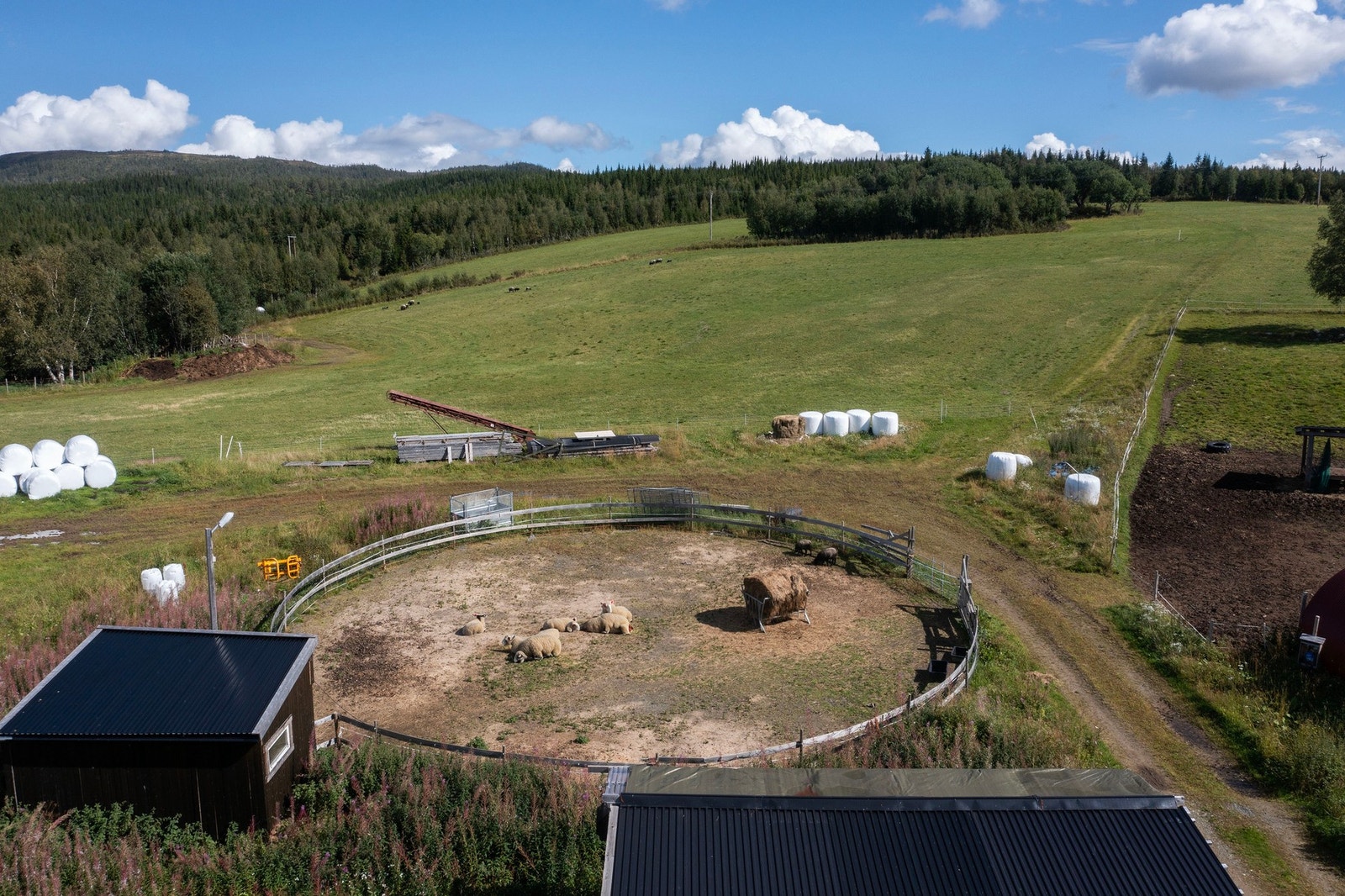 Tilrettelagt for hestehold med rundpaddock. Galleribilde