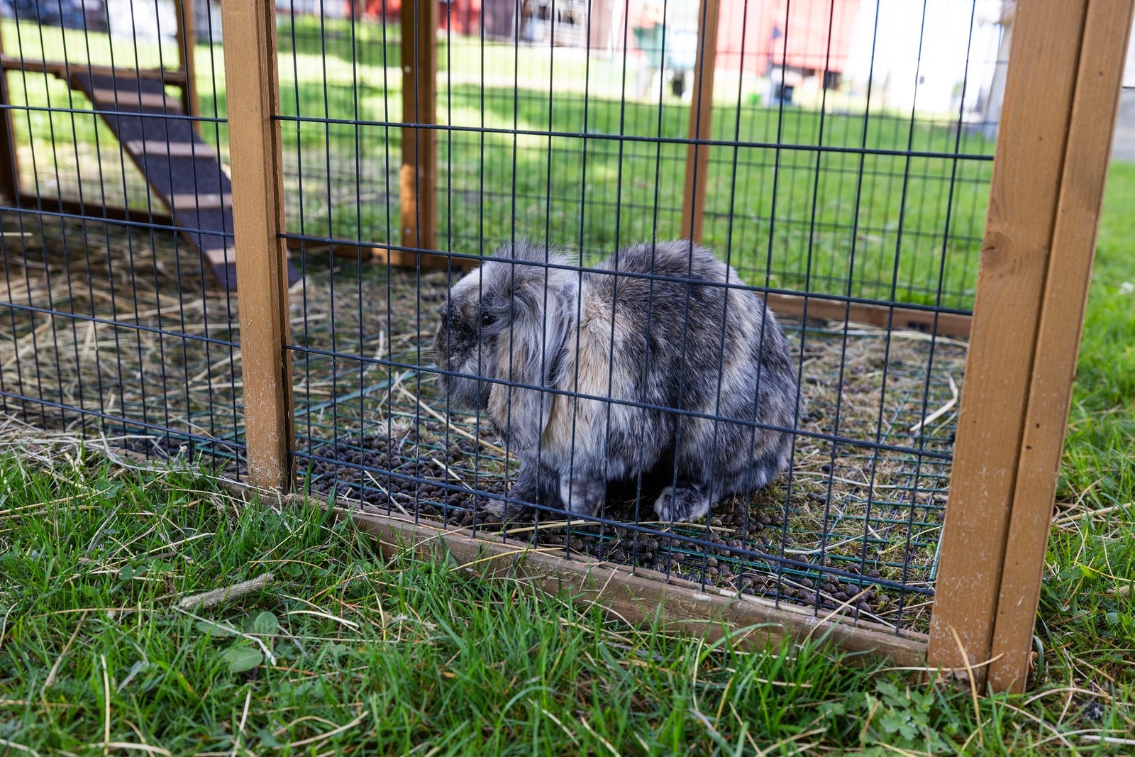 Stemningsbilde Galleribilde