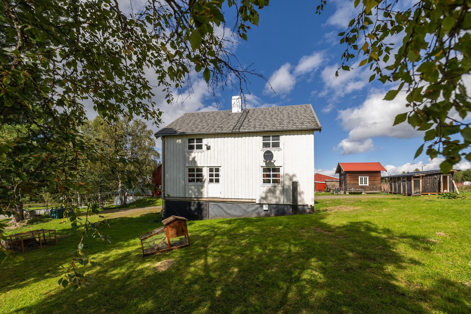 Hage med plen og prydbusker Galleribilde