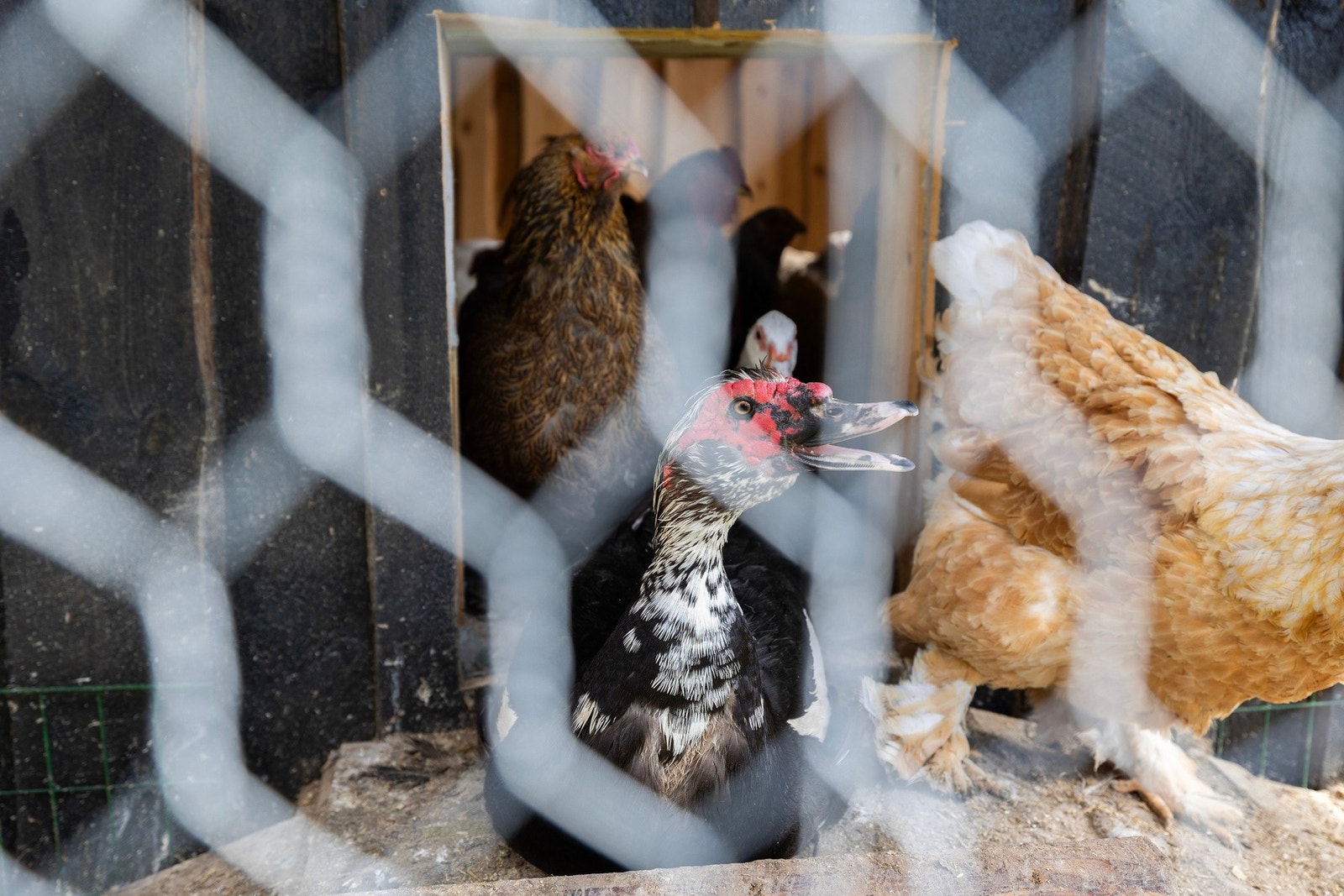 Stemningsbilde Galleribilde