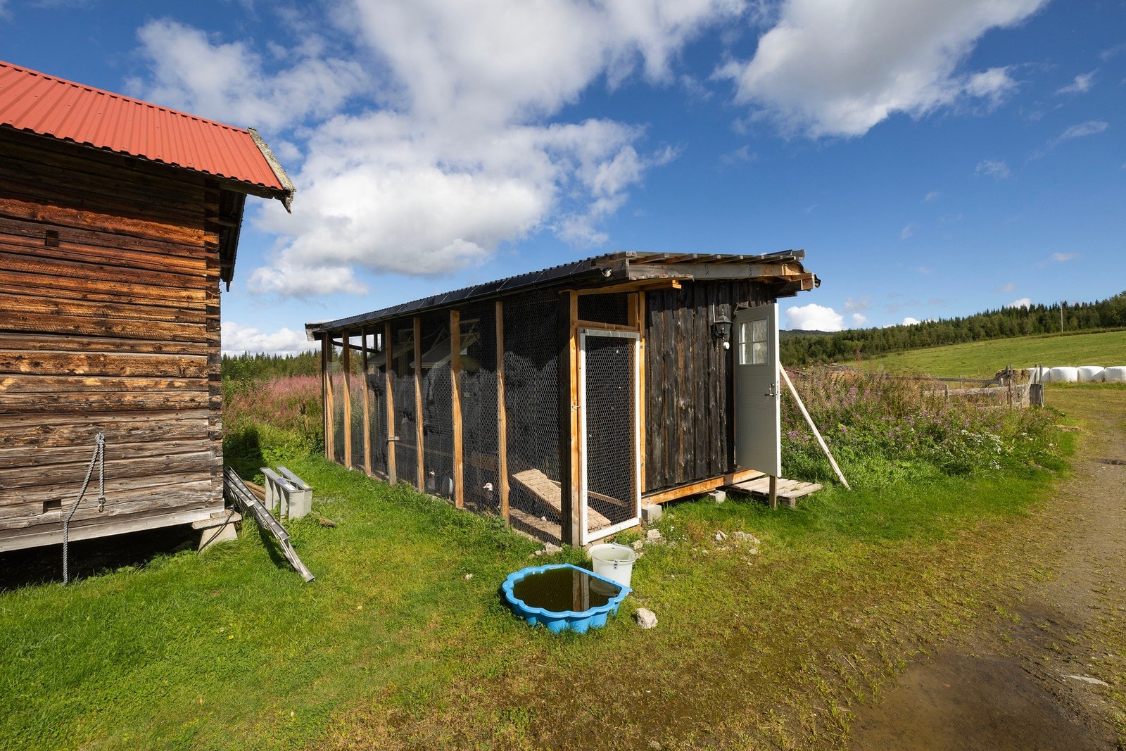 Hønsehus Galleribilde