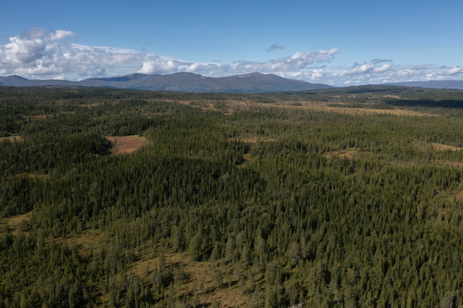 Dronefoto. Eiendommen ligger midt i et storslått og uberørt turterreng med gode jaktmuligheter. Galleribilde