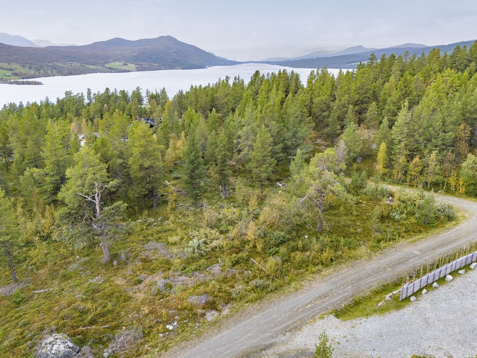 Det er helårsvei til tomten. Galleribilde