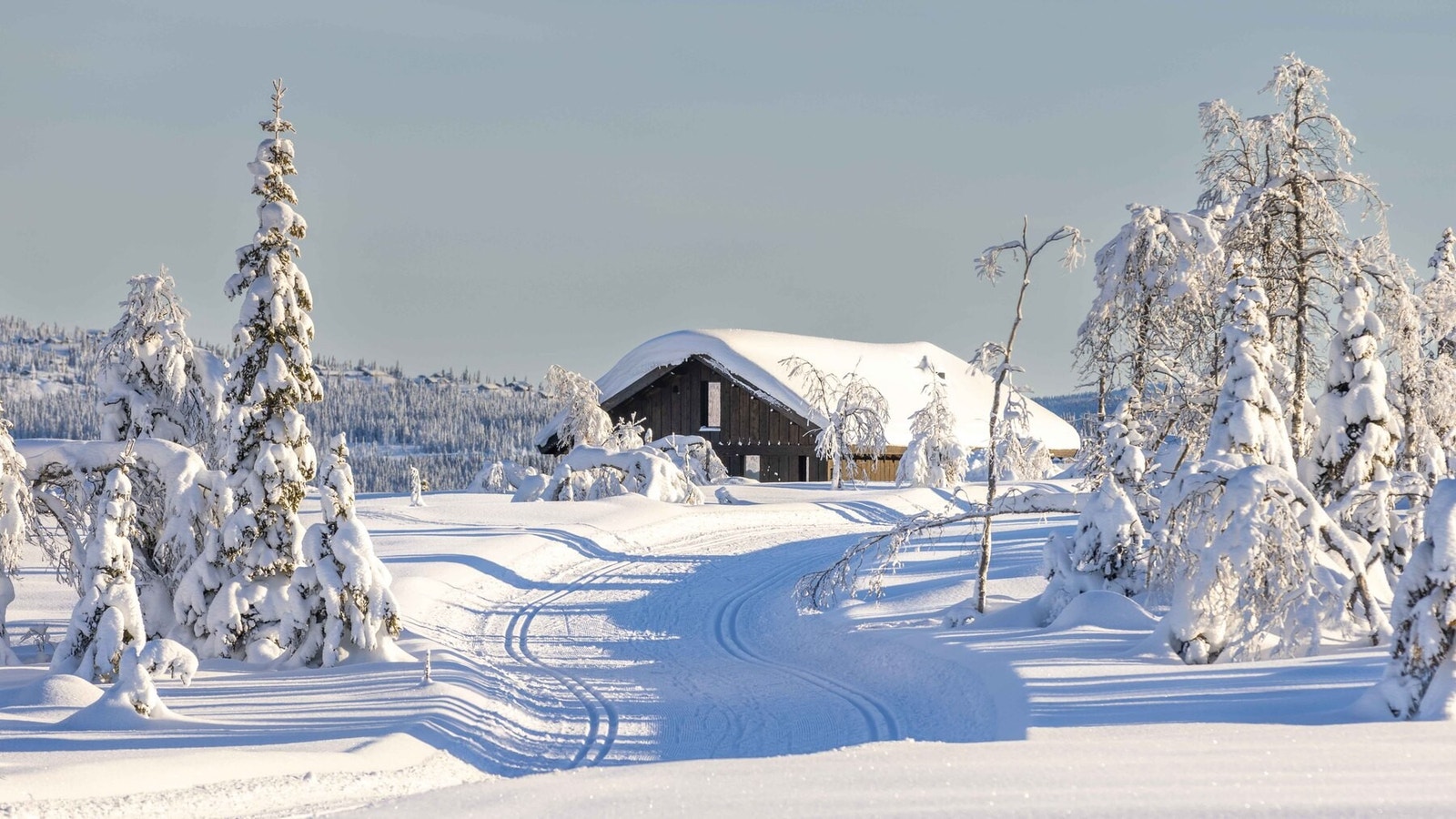 Kjoslia har skiløypenettet rett utenfor døra! Foto fra vinteren 2022/23 Galleribilde