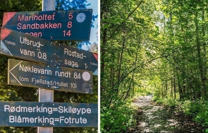 Flotte turområder ved Østensjø og videre inn i marka Galleribilde
