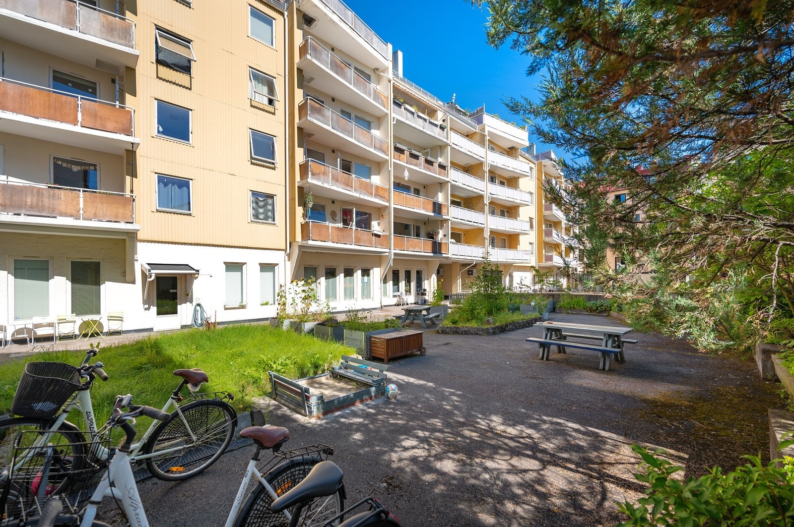 Sameiet har en hyggelig bakgård, pent opparbeidet med busker, plen og blomster. Galleribilde