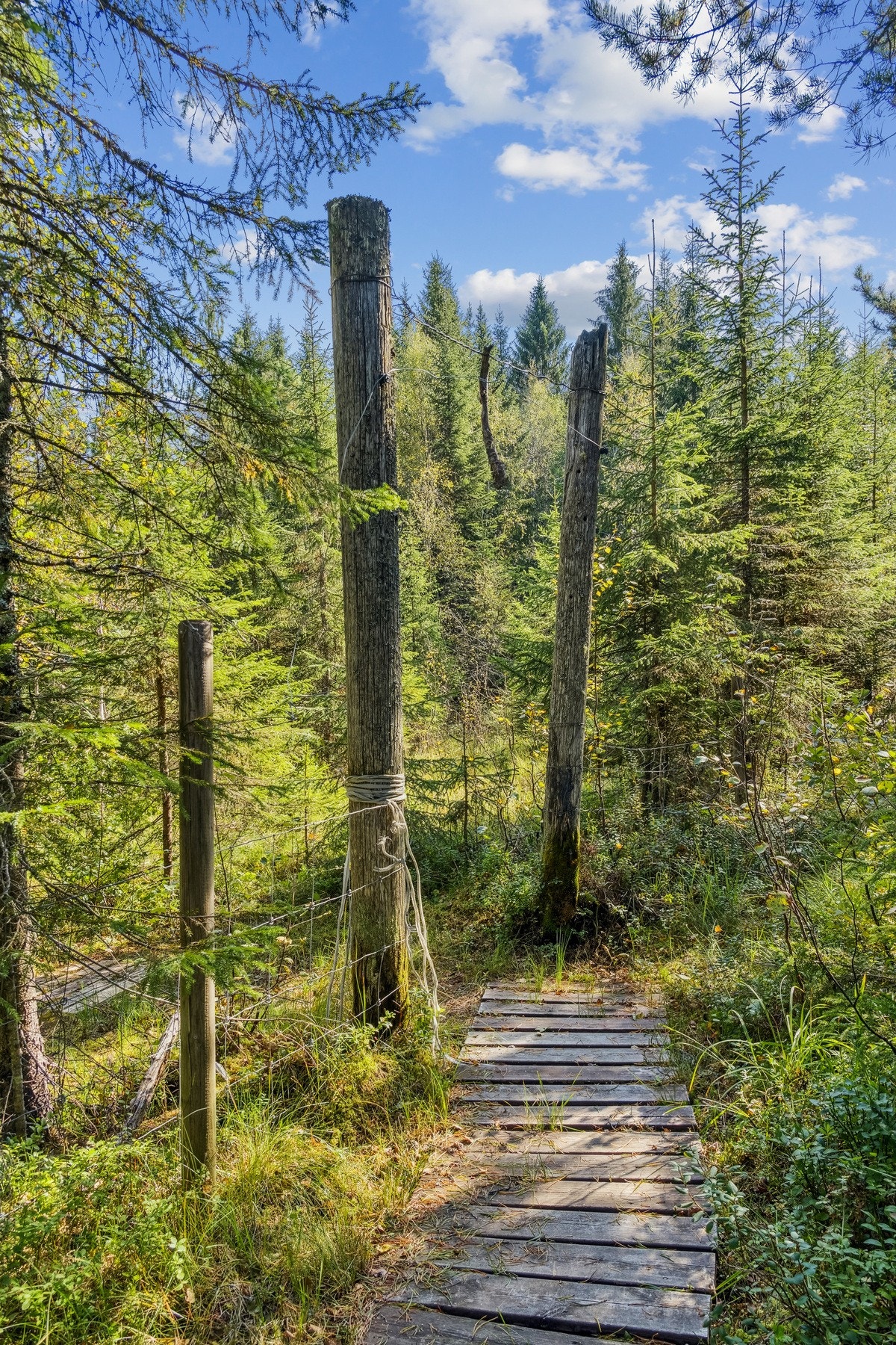 Privat brønn ligger i gangavstand fra hytteveggen. Galleribilde