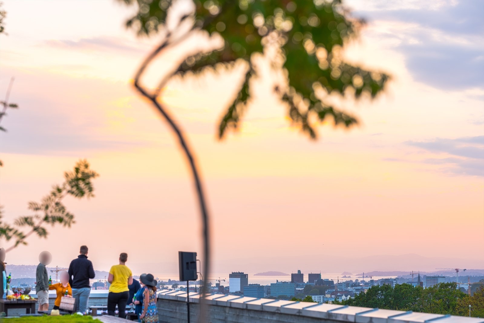 Meget attraktiv og stor felles takterrasse med utmerkede solforhold. Takterrassen er arkitekttegnet og ble ferdigstilt i 2018. Galleribilde