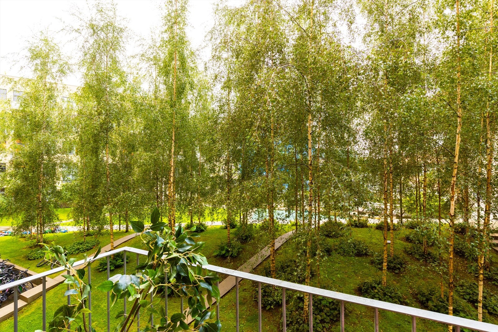 Fantastisk utsikt mot det grønne! Galleribilde