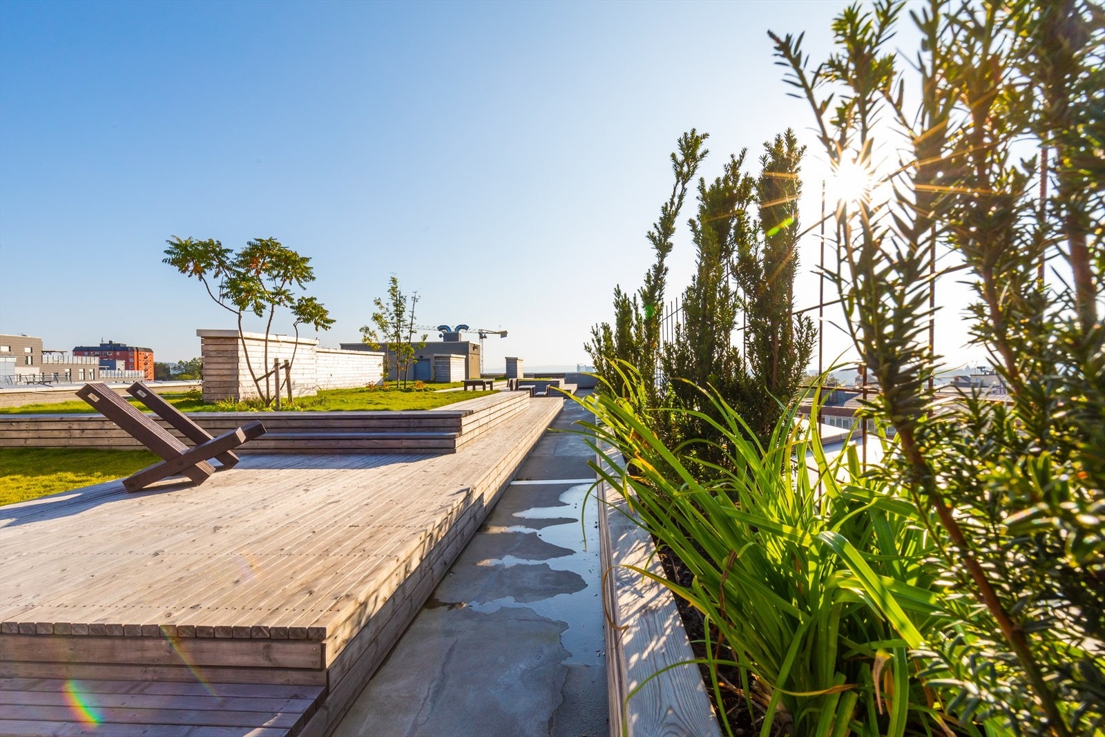 Felles takterrasse med sol hele dagen og fantastisk utsikt. Galleribilde