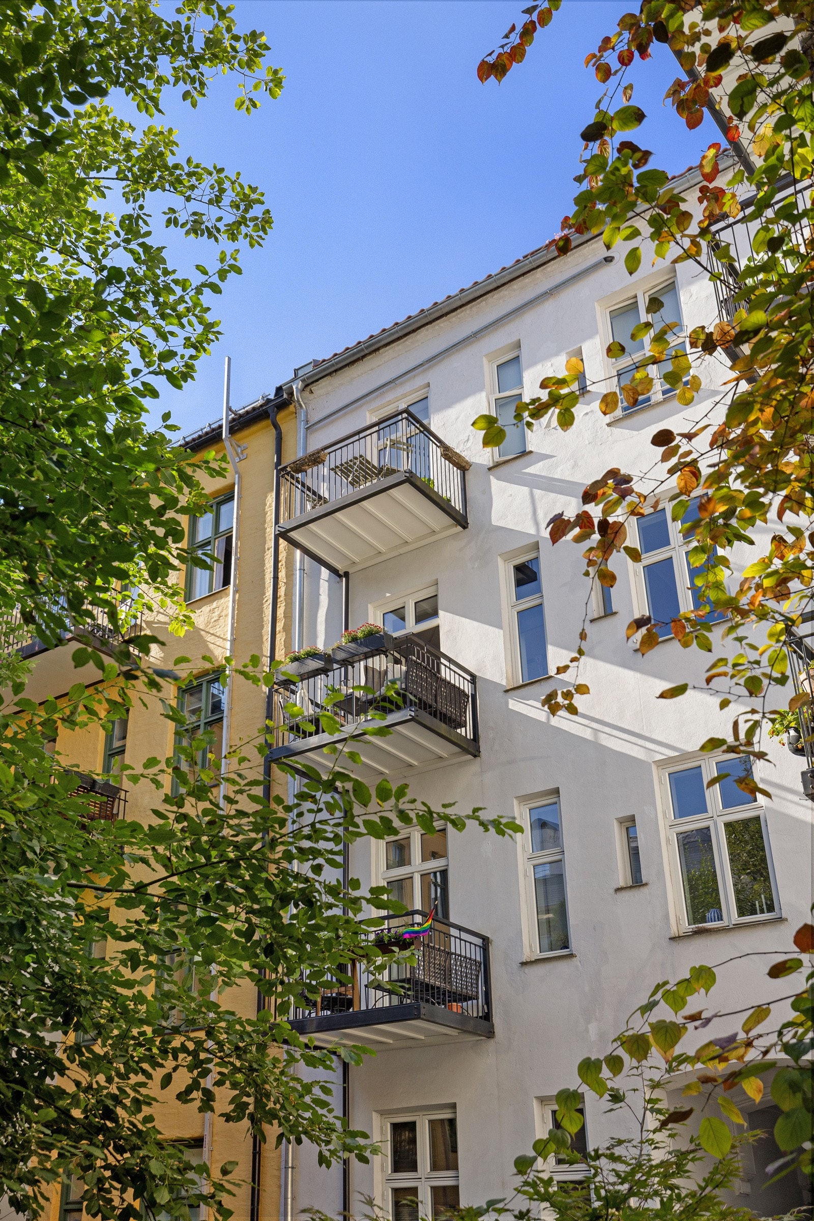 Fasade. Galleribilde