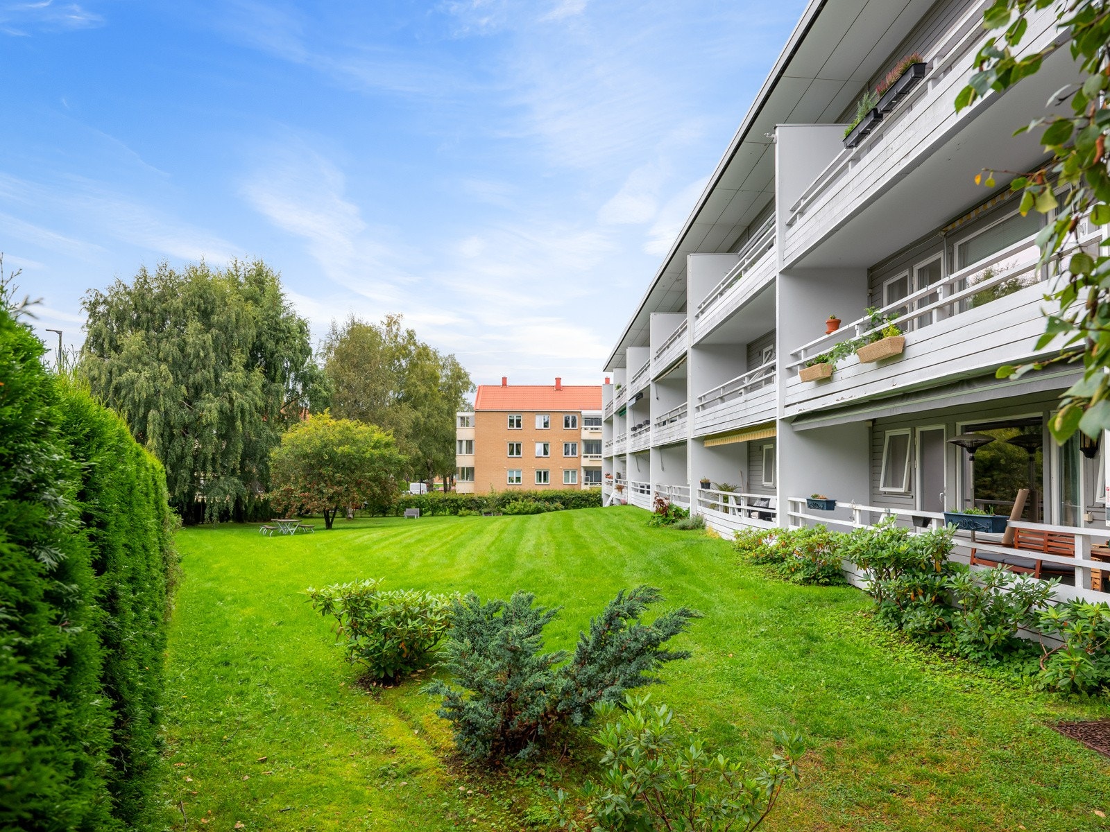 Felles hage Galleribilde