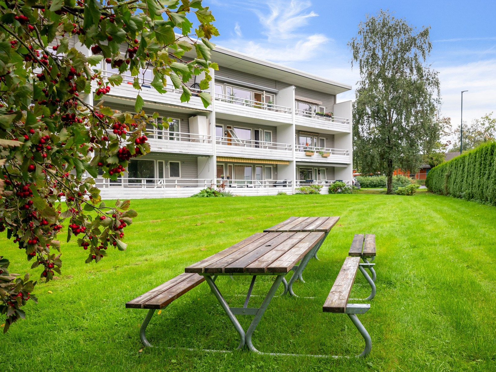 Pent opparbeidet felles hage Galleribilde