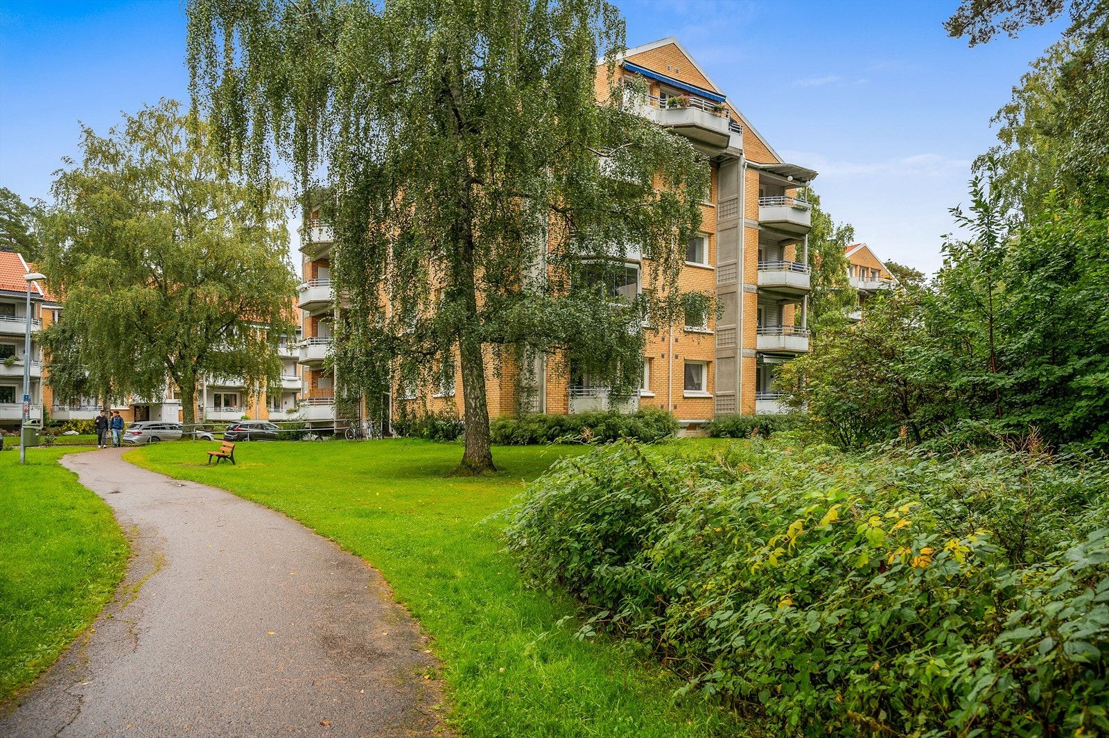 Koselige fellesområder i grønne omgivelser. Galleribilde