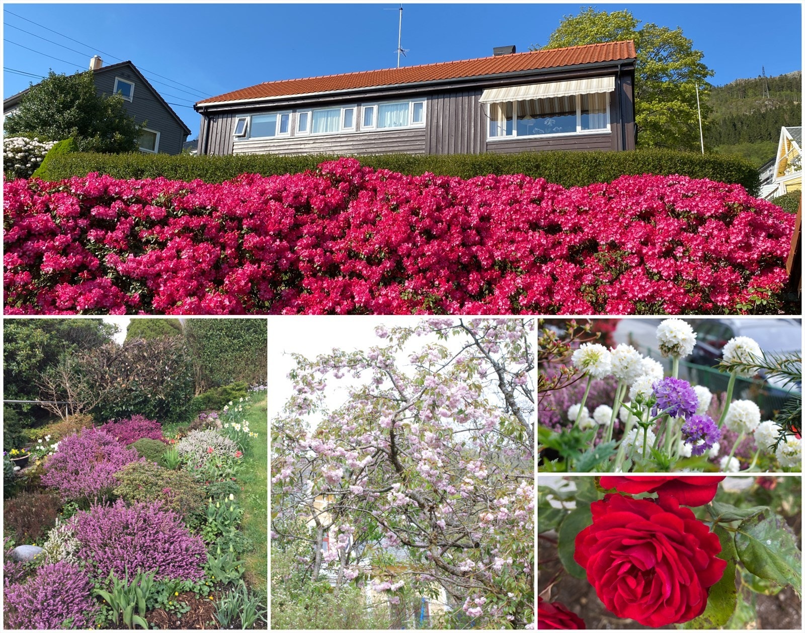 Velkommen til visning søndag 15.september kl. 14:00 - 15:00 (husk påmelding). Galleribilde