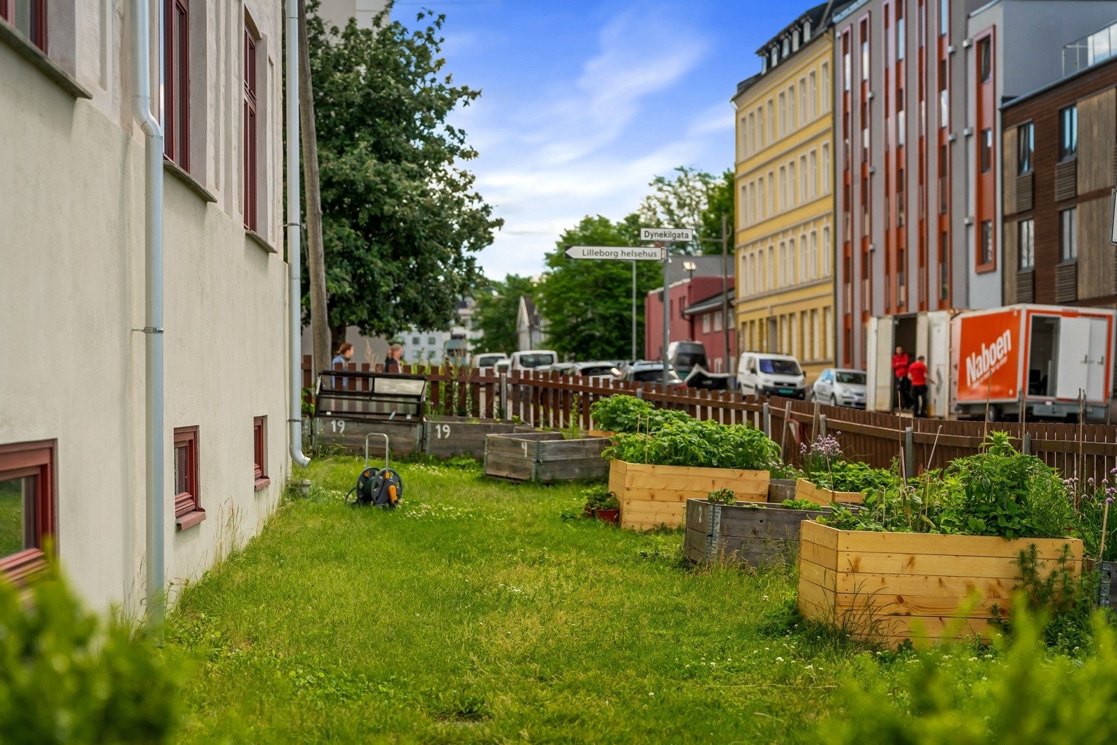 Grønt og frodig! Galleribilde