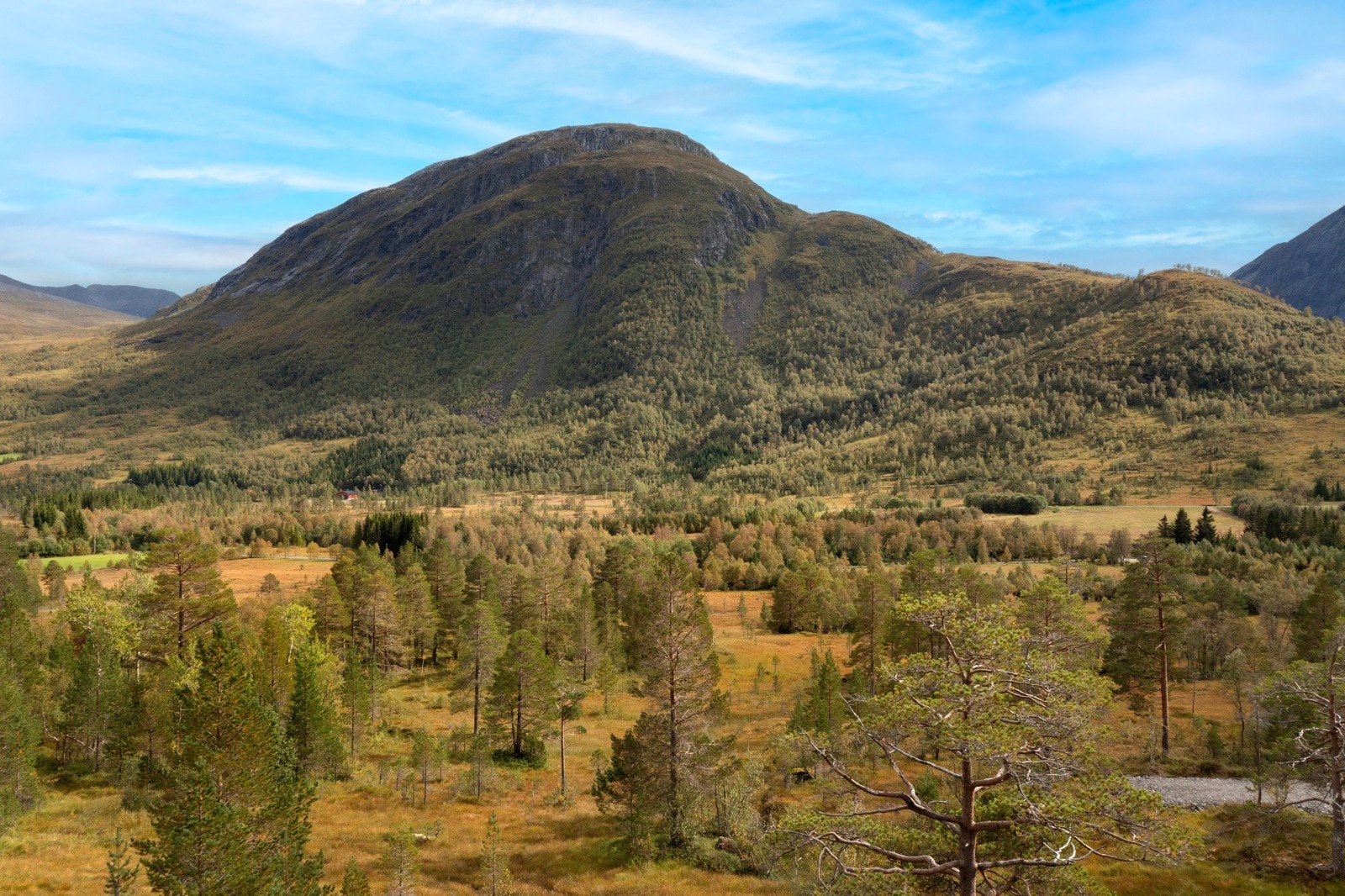 Her er det simulert utsikt fra tomt nr 3 i fire meters høyde. Galleribilde