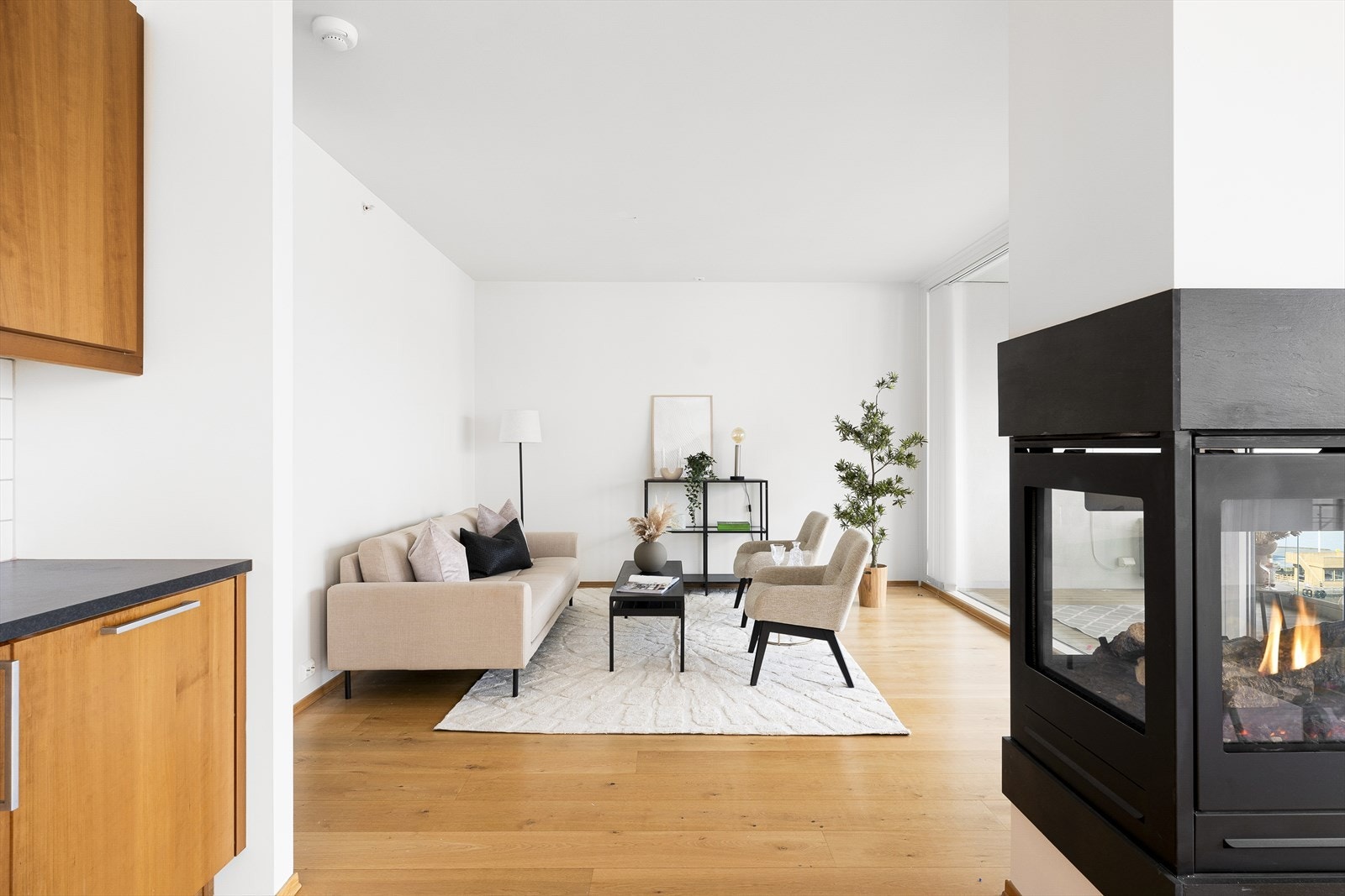 Stue og gasspeis Galleribilde