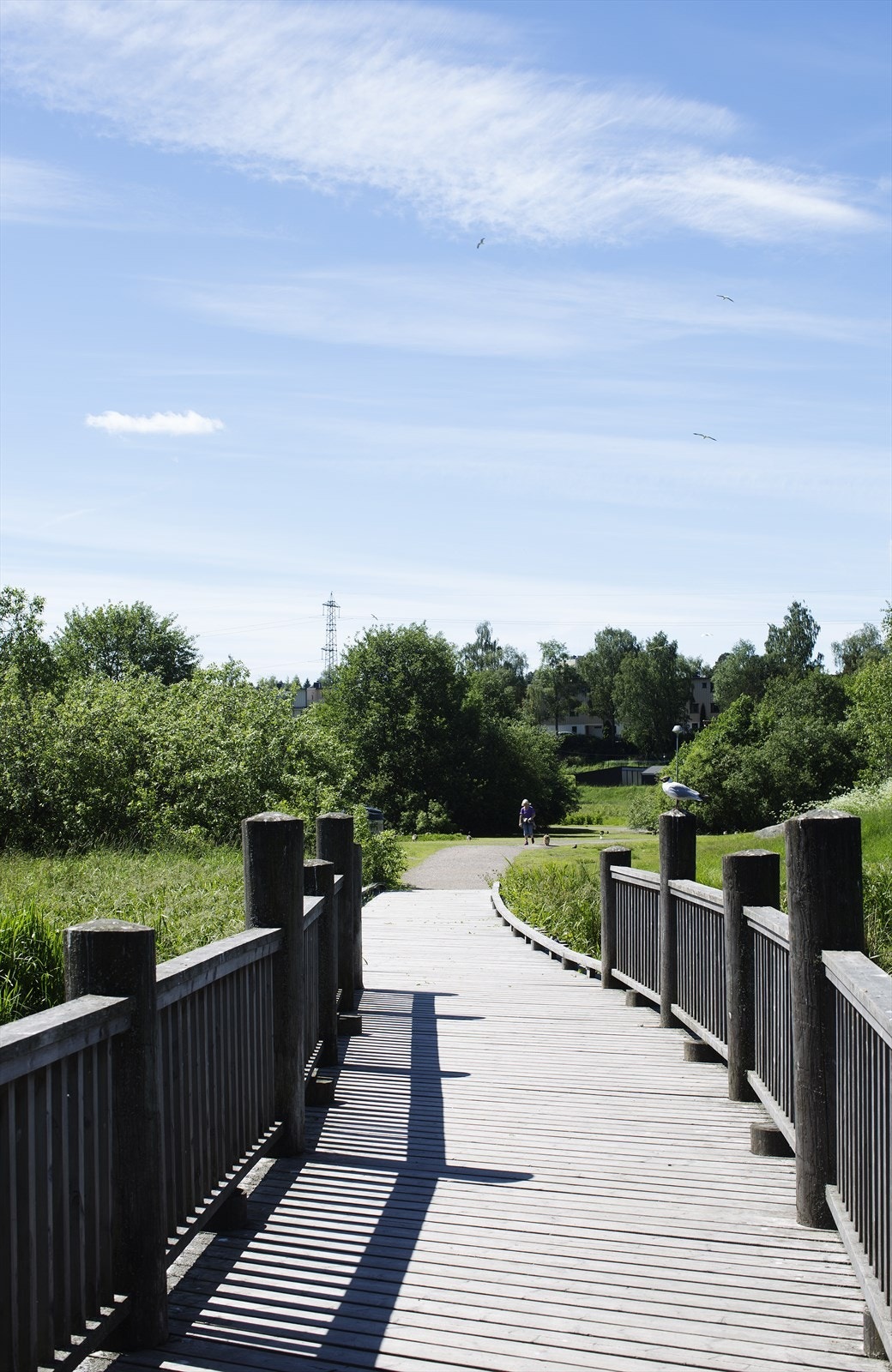 Kort vei til Østensjøvannet med et rikt dyre- og fugleliv samt flott turvei rundt vannet. Galleribilde