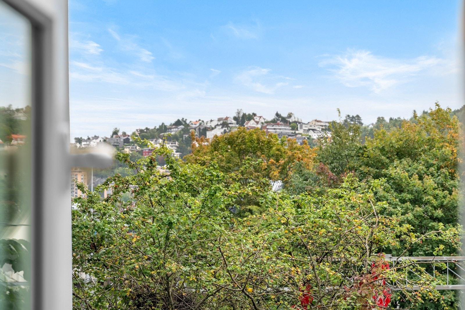 Grøntareal og frodige omgivelser i nærliggende strøk. Galleribilde