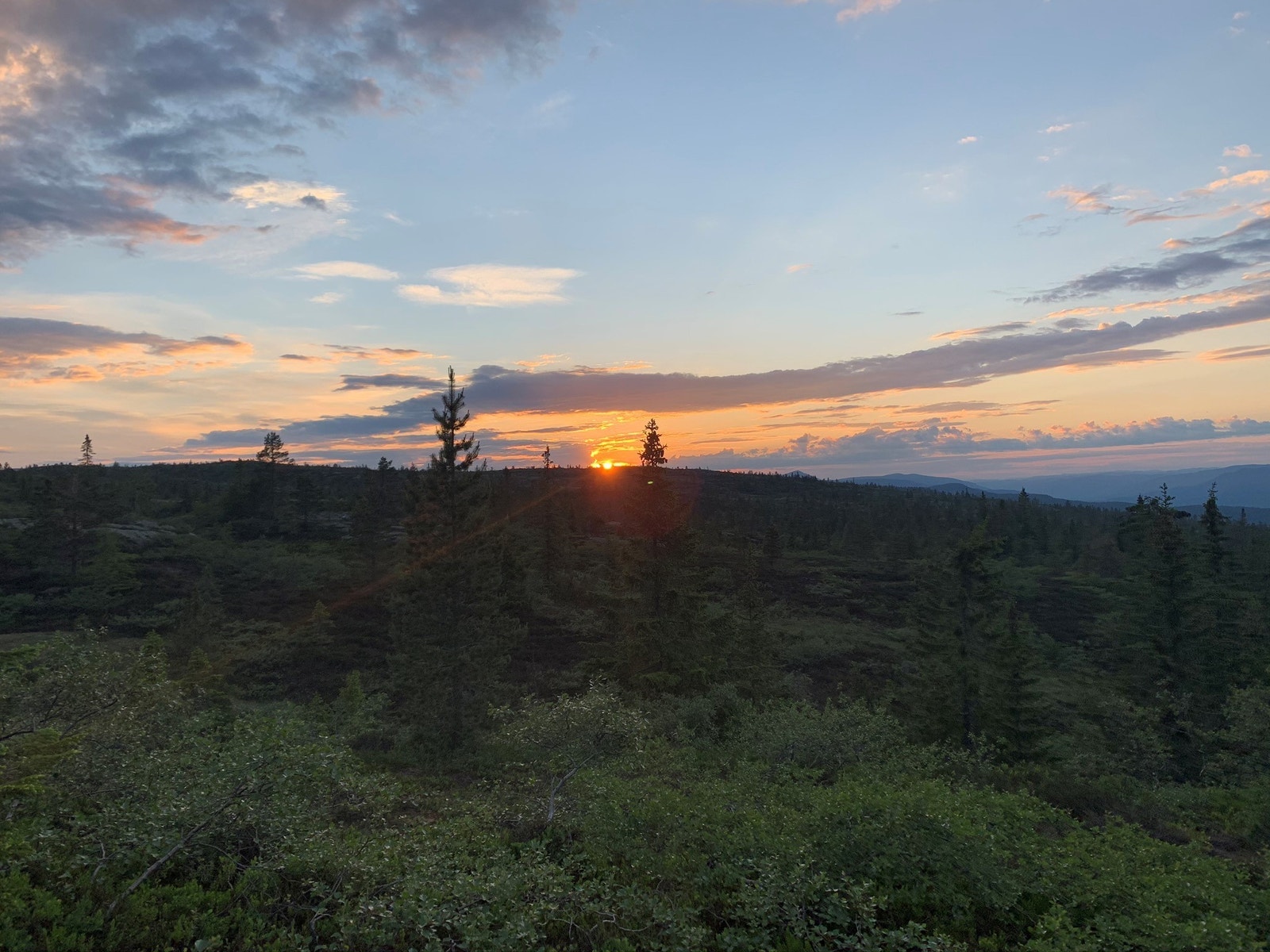 Solnedgang