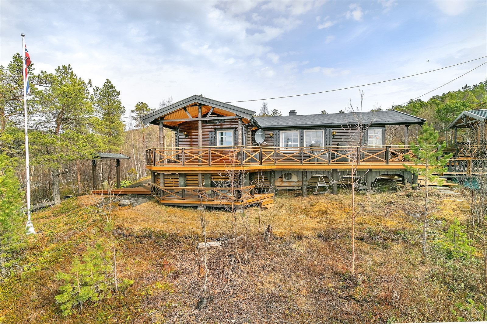 Naturtomt med vegetasjon for området. Galleribilde